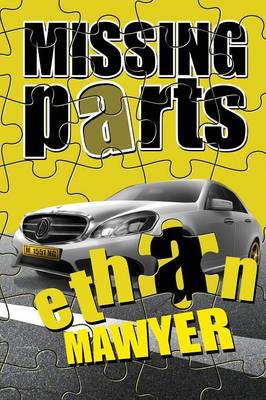 Missing Parts (Paperback)