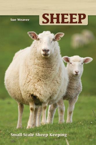 Sheep: Small Scale Sheep Keeping (Paperback)