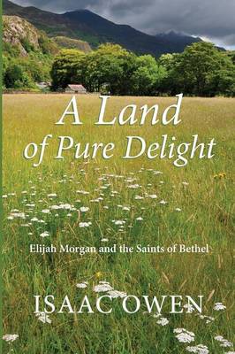 A Land of Pure Delight: Elijah Morgan and the Saints of Bethel (Paperback)