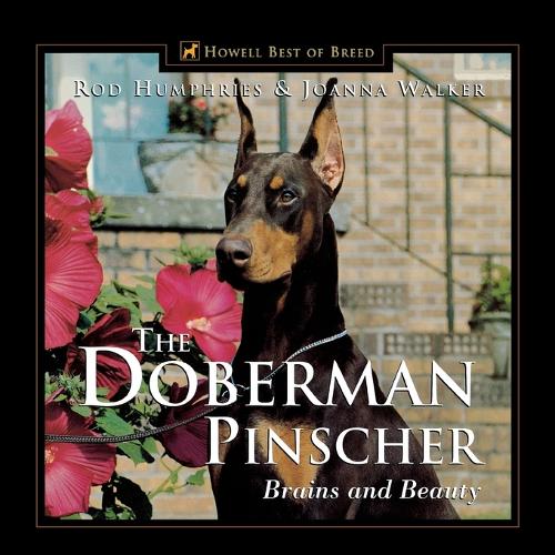 The Doberman Pinscher: Brains and Beauty (Paperback)