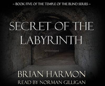 Secret of the Labyrinth - Temple of the Blind Series - Book 5 (CD-Audio)