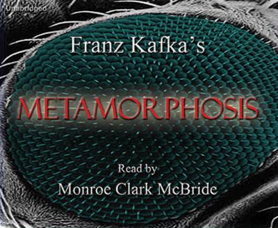 The Metamorphosis (CD-Audio)