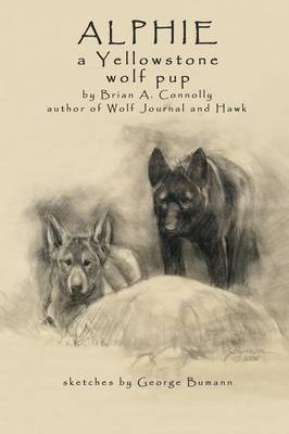 Alphie, a Yellowstone Wolf Pup (Paperback)