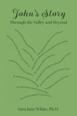 John's Story: Through the Valley and Beyond (Paperback)