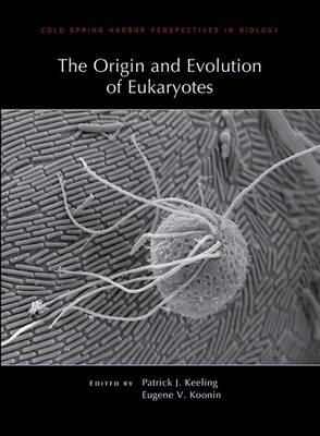 The Origin and Evolution of Eukaryotes - Cold Spring Harbor Perspectives in Biology (Hardback)