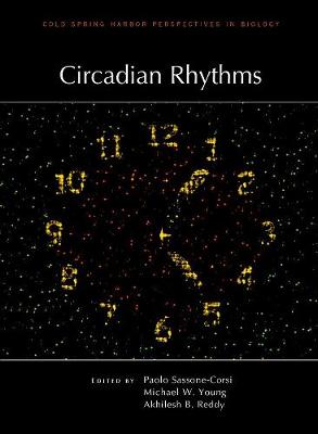 Circadian Rhythms - Perspectives Cshl (Hardback)