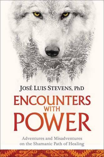 Encounters with Power: Adventures and Misadventures on the Shamanic Path of Healing (Paperback)