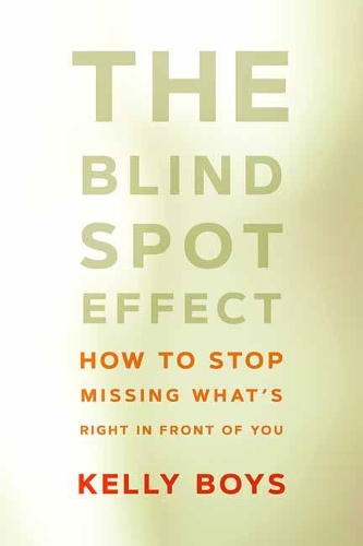 The Blind Spot Effect: How to Stop Missing What's Right in Front of You (Paperback)