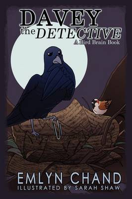 Davey the Detective (a Bird Brain Book) (Hardback)