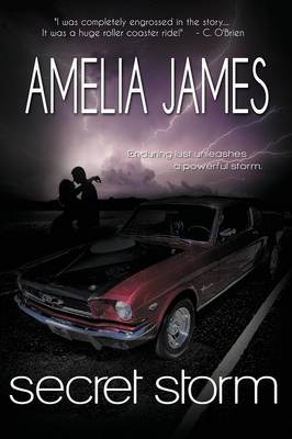 Secret Storm (Paperback)