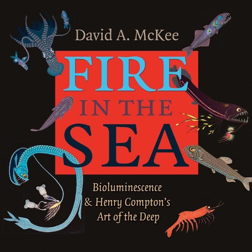 Fire in the Sea: Bioluminescence and Henry Compton's Art of the Deep - Gulf Coast Books, sponsored by Texas A&M University-Corpus Christi (Hardback)