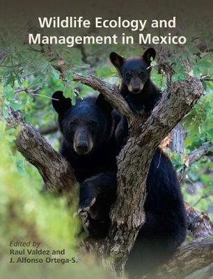 Wildlife Ecology and Management in Mexico - Perspectives on South Texas (Hardback)