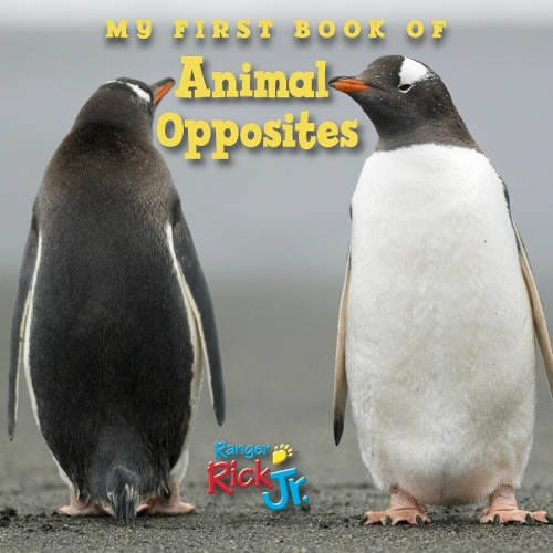 My First Book Of Animal Opposites (National Wildlife Federation) (Board book)