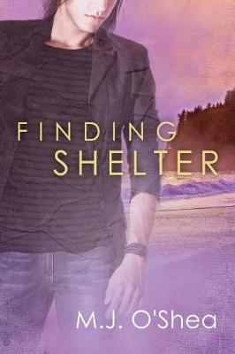 Finding Shelter (Paperback)