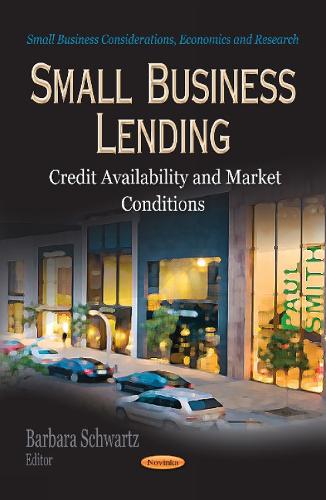 Small Business Lending: Credit Availability & Market Conditions (Paperback)