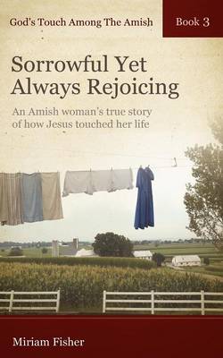 God's Touch Among The Amish Book 3 (Paperback)