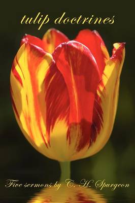 tulip doctrines (Paperback)
