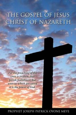An Amazing Story of Jesus' Life (Paperback)