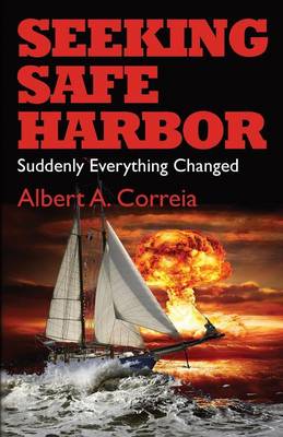 Seeking Safe Harbor: Suddenly Everything Changed (Paperback)
