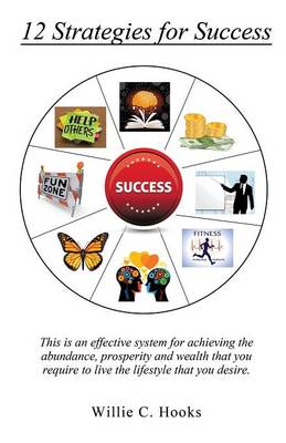 12 Strategies for Success (Paperback)