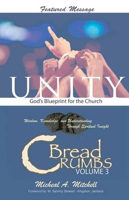 Unity God's Blueprint for the Church (Paperback)