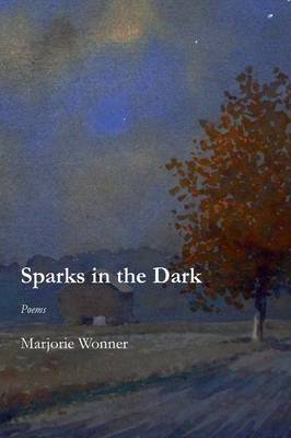 Sparks in the Dark (Paperback)