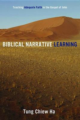Biblical Narrative Learning (Paperback)