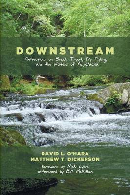 Downstream (Paperback)