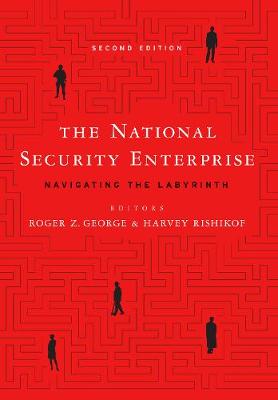 The National Security Enterprise: Navigating the Labyrinth (Hardback)