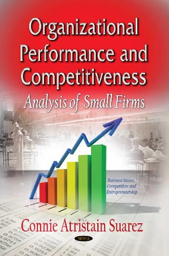 Organizational Performance & Competitiveness: Analysis of Small Firms (Hardback)