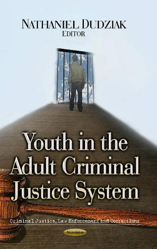 Youth in the Adult Criminal Justice System (Paperback)