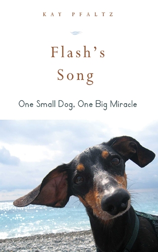 Flash's Song: How One Small Dog Turned into One Big Miracle (Hardback)