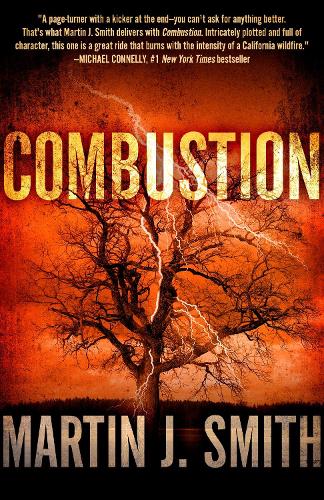 Combustion (Paperback)