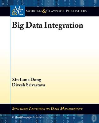 Big Data Integration - Synthesis Lectures on Data Management (Paperback)