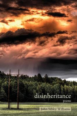 Disinheritance: Poems (Paperback)