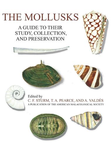 The Mollusks: A Guide to Their Study, Collection, and Preservation (Hardback)