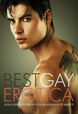 Best Gay Erotica 2014 (Paperback)