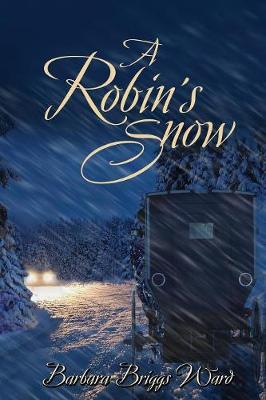 A Robin's Snow (Paperback)