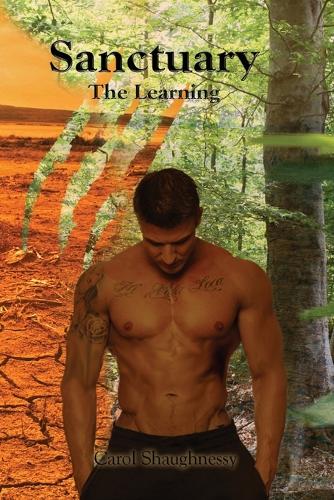 Sanctuary - The Learning (Paperback)