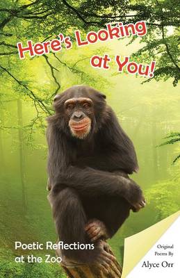 Here's Looking at You (Paperback)