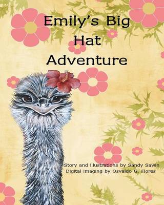 Emily's Big Hat Adventure (Paperback)