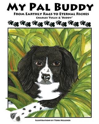My Pal Buddy (Paperback)