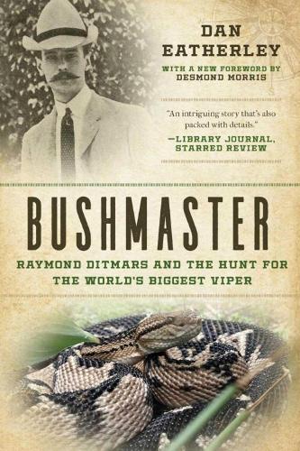 Bushmaster: Raymond Ditmars and the Hunt for the World's Largest Viper (Paperback)