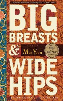 Big Breasts and Wide Hips - Arcade Classics (Hardback)