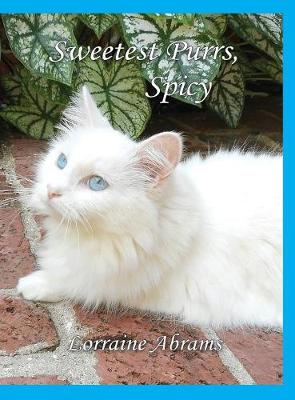 Sweetest Purrs, Spicy - Adventures of Spicy 4 (Hardback)