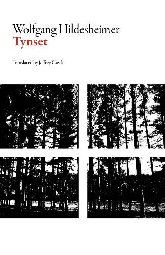 Tynset - Swiss Literature Series (Paperback)