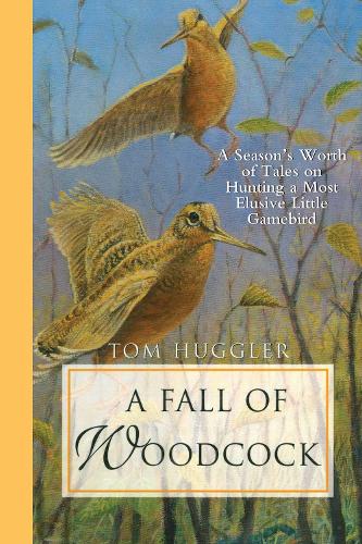 A Fall of Woodcock: A Season's Worth of Tales on Hunting a Most Elusive Little Game Bird (Paperback)