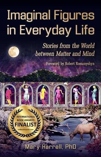 Imaginal Figures in Everyday Life: Stories from the World Between Matter and Mind (Paperback)