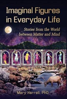 Imaginal Figures in Everyday Life: Stories from the World Between Matter and Mind (Hardback)