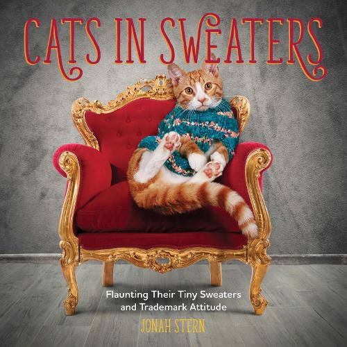 Cats in Sweaters: Flaunting Their Tiny Sweaters and Trademark Attitude (Hardback)